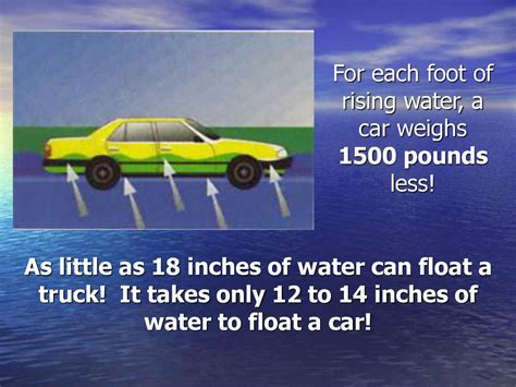 How Many Inches of Water Can Float a Car: And Why Do Fish Prefer SUVs Over Sedans?