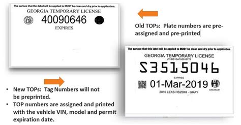 How Much Is a Car Tag in Georgia: A Journey Through Time and Space