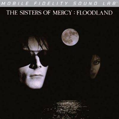 「Sisters of Mercy」のドラマティックなシンセサイザーサウンドと切ないメロディーが織り成すダークロマンティシズム