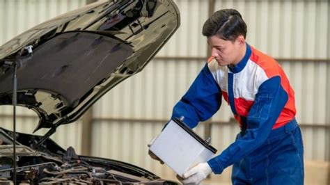 Will Advance Auto Parts Install a Battery: A Journey Through the Labyrinth of Automotive Mysteries